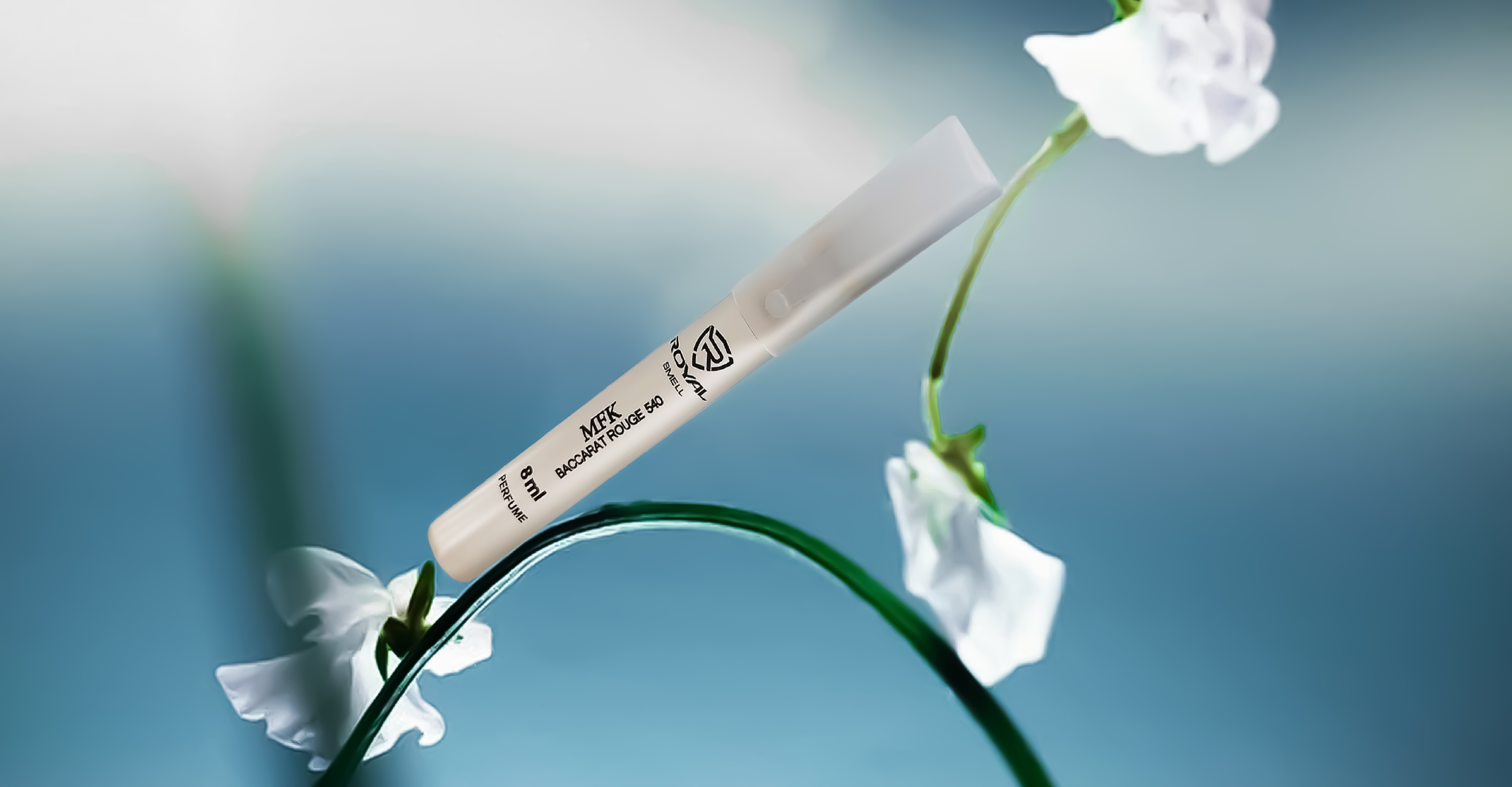 تصویر تجاری ۱